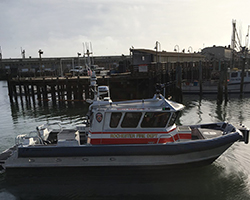 moose (WEB 250x200) (1)